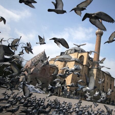 5 Tokoh Islam yang Menginspirasi Dunia Mosque